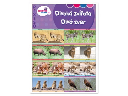 Zábavné učení Pexeso Divoká zvířata 1