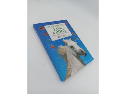 kůň a pony