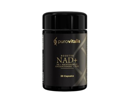 Snímek obrazovky 2025 08 14 v 14.20.30 removebg preview