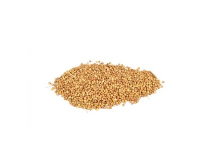 coriander seeds 100 g
