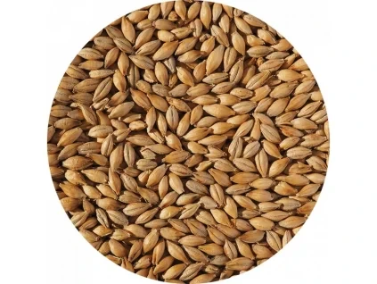 1899 crisp extra pale maris otter malt