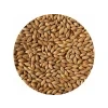 1899 crisp extra pale maris otter malt