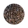 711 crisp roast barley
