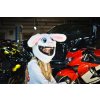 shop vtipny navlek na helmu pre motorkarku zajko