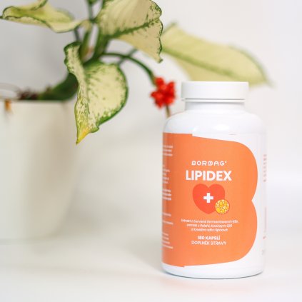 20250702 101911440 iOS – upraveno – upraveno