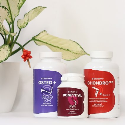 Kompletní balíček pro kosti a klouby - OSTEO 180 cps + BONEVITAL + CHONDROPRO