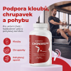 ChondroPro