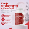 ChondroPro