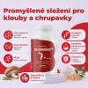 ChondroPro