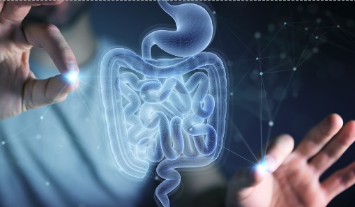 Čo by ste mali vedieť o vitamínoch a potravinových doplnkoch: krok za krokom k zdraviu a vitalite.