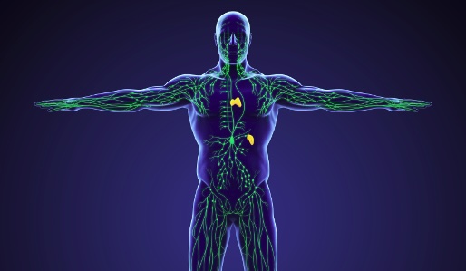 Lymfatický systém: klíč ke zdravému fungování těla