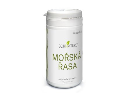 Mořská řasa