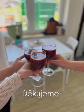 Je to za námi. 12. narozeniny Borůvkového kopečku úspěšně oslaveny a nám nezbývá, než vyslat směrem k vám jedno velké D Ě...