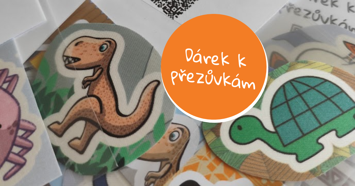 přezůvky
