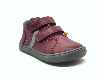 Protetika II - Darta Bordo