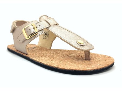 Koel Aurelia Champagne