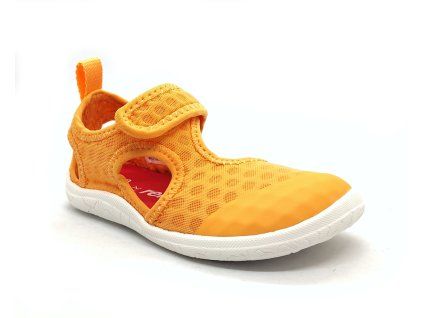 Reima Rantaan - Apricot