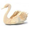 swan