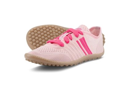 4660 leguano caribeo rose