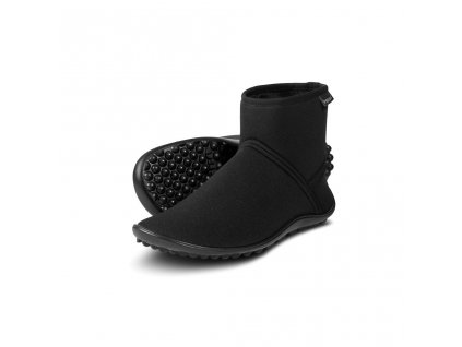 3576 1 leguano thermo 2