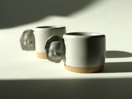P1020884x