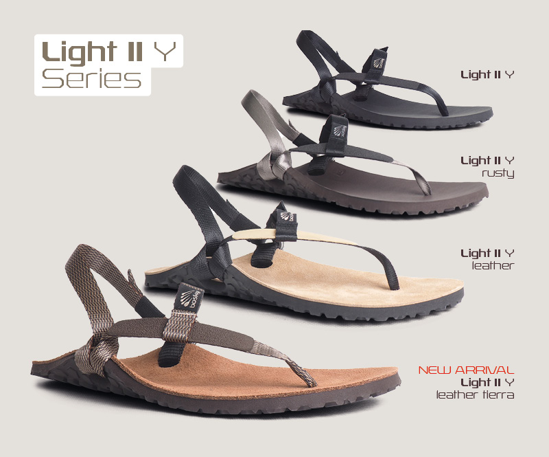 Light II Y models