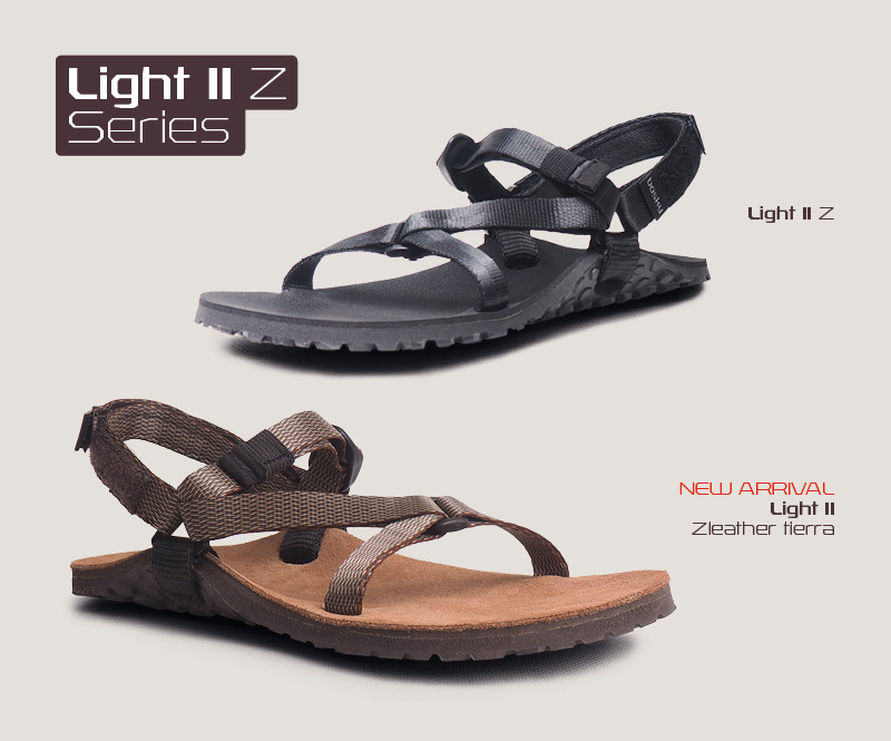 Light II Z models