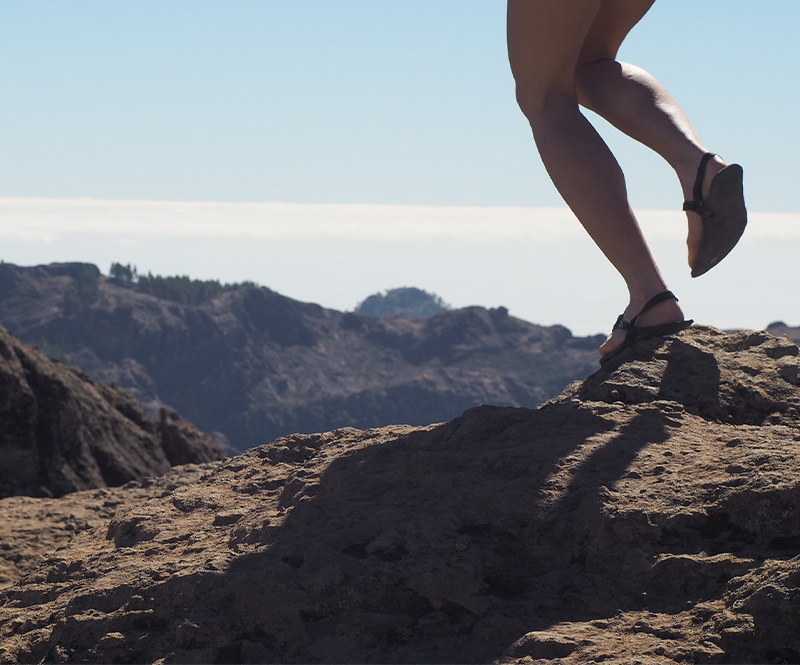 Season coming mobile