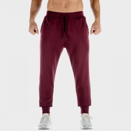 Tepláky Lab 360 Joggers Tawny Port - SQUATWOLF