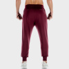 Tepláky Lab 360 Joggers Tawny Port - SQUATWOLF