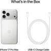 Apple iPhone 17 Pro Max 256GB Silver