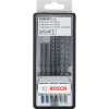 2607010531 Bosch 6-dielna súprava pílových listov Robust Line Progressor T 3165140446150 - 2