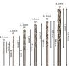 Bosch Sada šroubovacích vrtáků PRO Metal HSS-G, 6 ks