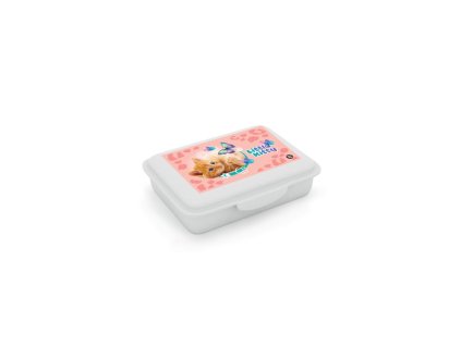 68499 box na svacinu s prihradkou oxybag kocka