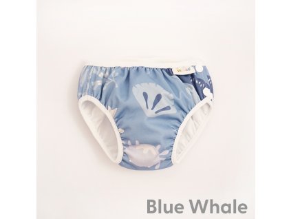 blue whale1