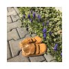 baby bare shoes febo spring mustand nubuk 6