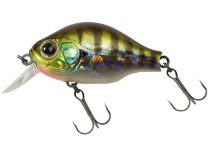 15950287B Switcher1 509