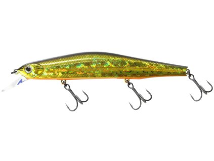 15950219Orbit110 130 050