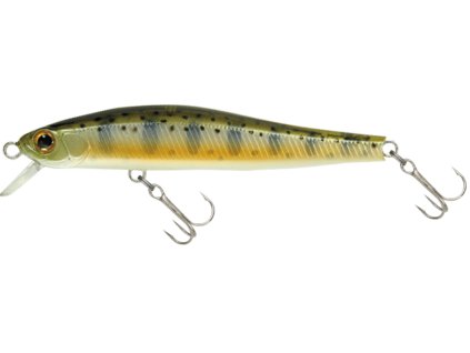 15950135Rigge70 90 851