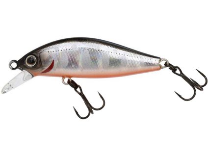 15950177RiggeFlat45 916