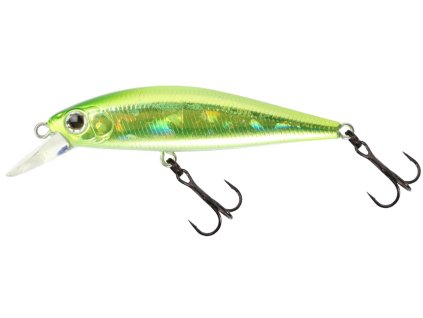 15950165RiggeFlat50 317