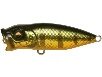 26591088BabyPopX AL Peacock