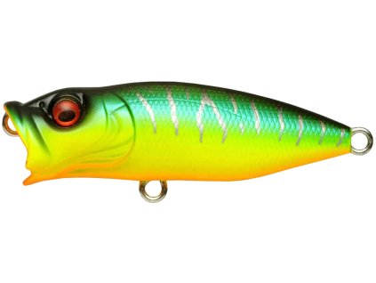 26593598BabyPopX MatTiger