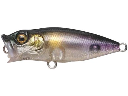 29110065BabyPopX SeeThroughCoayu