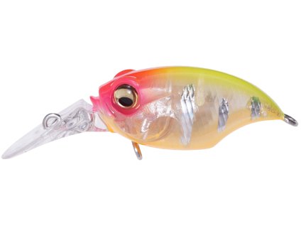 26591483GriffonBaitFinesseMR X EightReaction