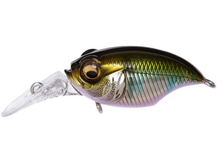 26591492GriffonBaitFinesseMR X WaginOikawa