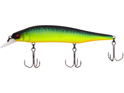 26590645ItoShiner MatTiger