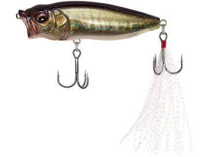 29110116PopMax FA Bass 1