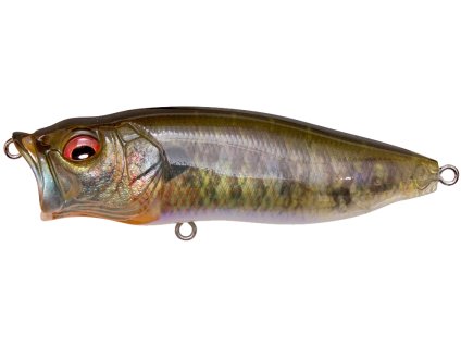 26594246PopMax FA Gill 1