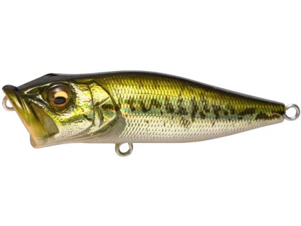 26592881PopX GG Bass